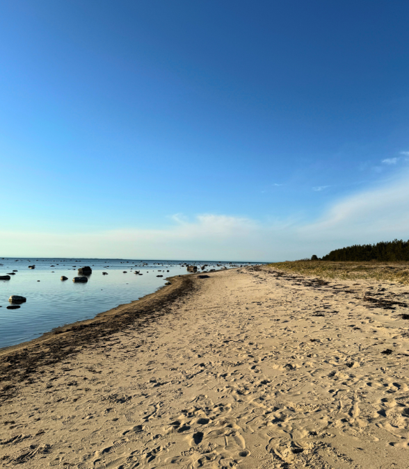Rooslepa Beach